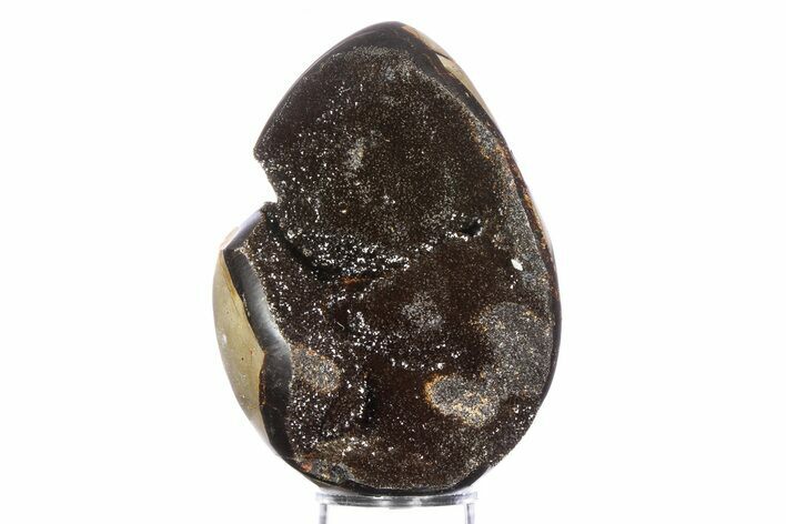 Septarian Dragon Egg Geode - Sparkly Black Crystals #383846
